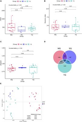 A comprehensive comparison of fecal microbiota in three ecological bird groups of raptors, waders, and waterfowl